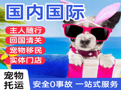 佛山机场托运国际宠物托运 【国